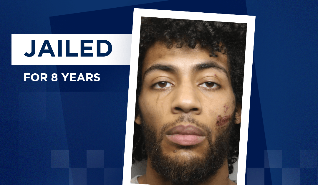 A man armed with a machete who assaulted members of the public has been sentenced